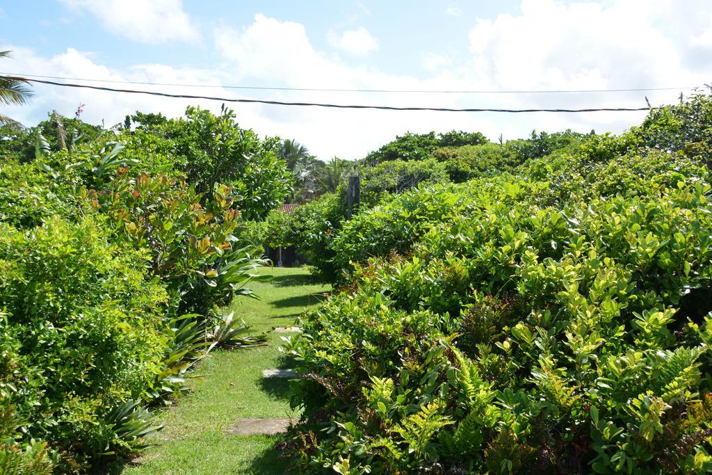 Casa Da Ilha Do Mel - Pousada De Charme Екстериор снимка